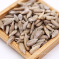 New Crop of Bakery Sunflower Seed Kernels